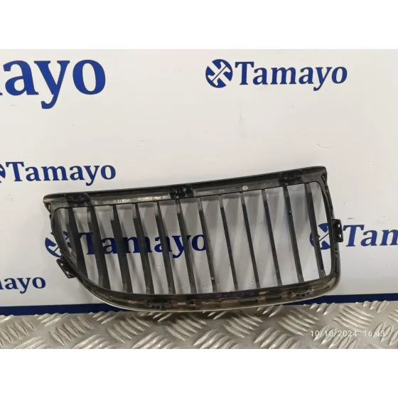 Rejilla Paragolpes Central para Bmw Serie 3 Touring (E91)
