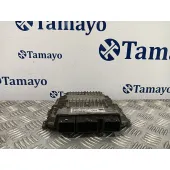 Centralita Motor Uce para Ford Fiesta (Cbk)