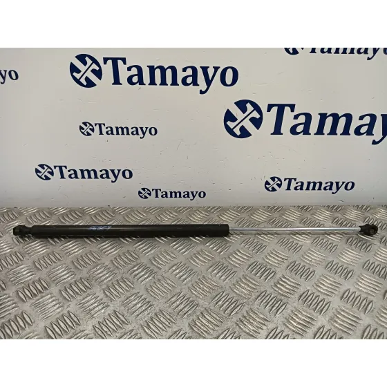 Amortiguadores Maletero / Porton para Fiat Ulysse (179)