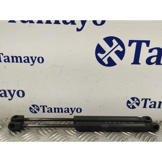 Amortiguadores Capo para Land Rover Freelander (Lr2)