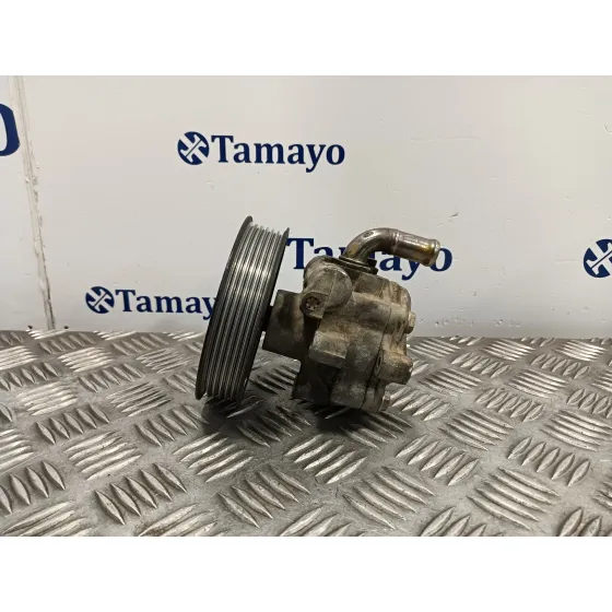 Bomba Servodireccion para Seat Toledo (1M2)
