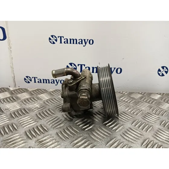 Bomba Servodireccion para Seat Toledo (1M2)