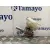 Bomba Freno para Peugeot 308