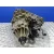 Caja Transfer para Nissan Pathfinder (R51)