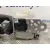 Cinturon Seguridad Delantero Derecho para Suzuki Swift Berlina (Mz)