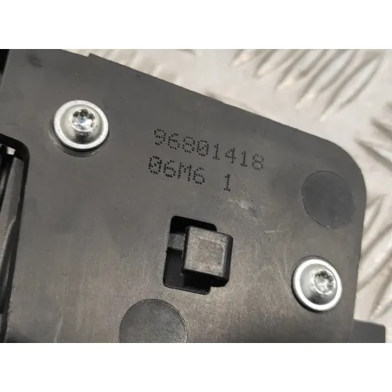 Maneta Interior Delantera Izquierda para Peugeot 1007
