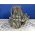 Caja Cambios para Nissan Qashqai (J10)