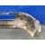 Paragolpes Delantero para Fiat Ducato Caja Cerrada 33, Techo Elevado (06.2006)