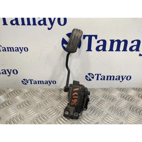 Pedal Acelerador para Renault Trafic Caja Cerrada (Ab 4.01)