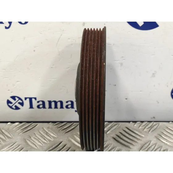 Polea Ciguenal para Renault Clio Iii