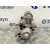 Motor Arranque para Ford Focus C-Max (Cap)