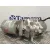 Depresor Freno / Bomba Vacio para Toyota Rav 4 V (_A5_, _H5_)