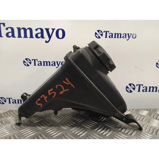 Deposito Expansion para Bmw Serie 1 Berlina (E81/E87)