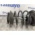 Amortiguador Delantero Derecho para Bmw Serie 3 Compacto (E36)