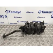 Colector Admision para Seat Ibiza (6L1)