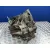 Caja Cambios para Nissan Juke (F15)
