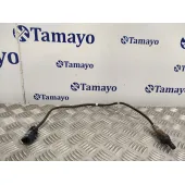 Sonda Lambda para Volkswagen Passat Variant (3G5)