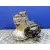 Caja Cambios para Opel Corsa C