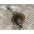 Sonda Lambda para Renault Captur Ii