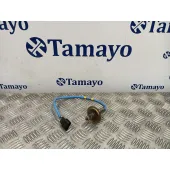Sonda Lambda para Renault Clio V