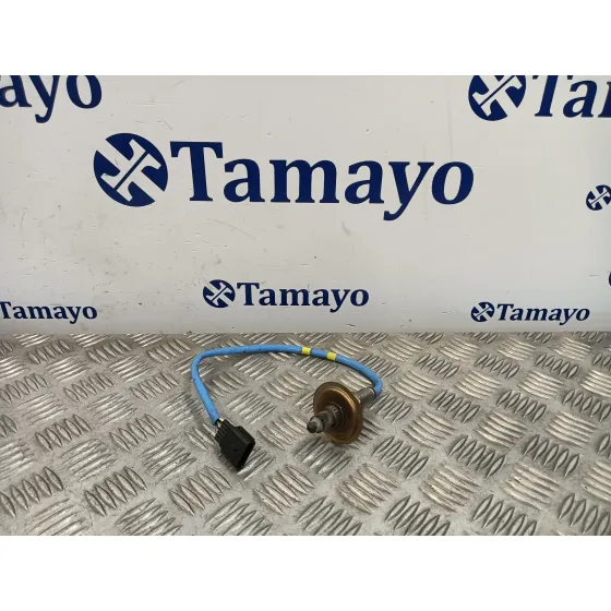 Sonda Lambda para Renault Clio V