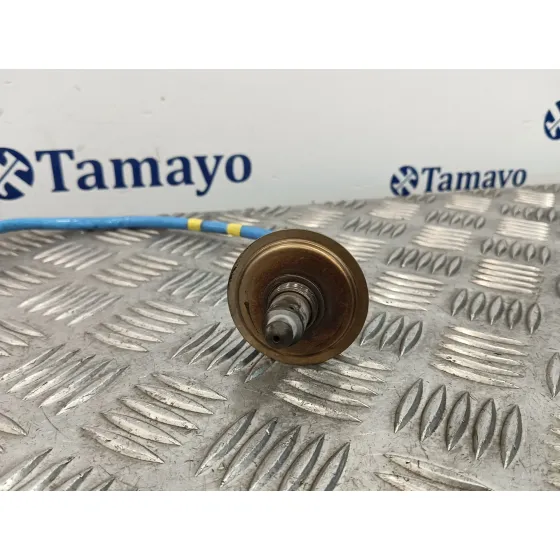 Sonda Lambda para Renault Clio V