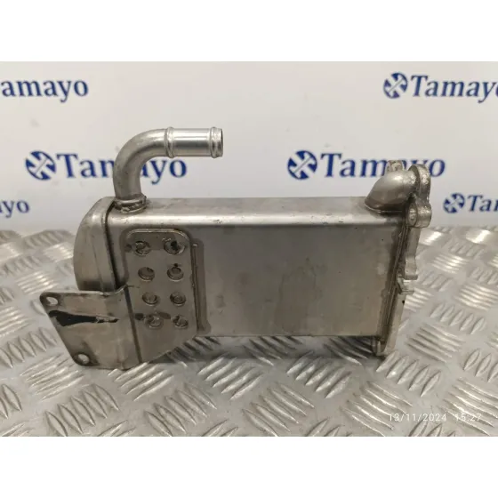 Enfriador Egr para Volkswagen T5 Transporter (7E)