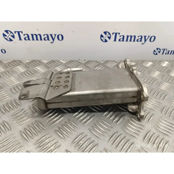 Enfriador Egr para Volkswagen T5 Transporter (7E)