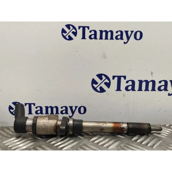 Inyector para Peugeot Expert Tepee