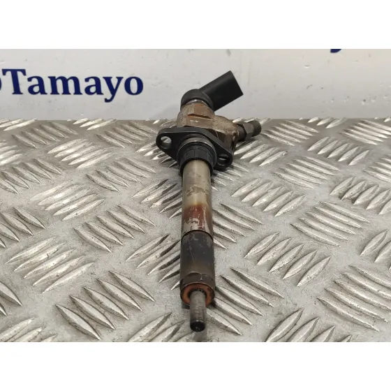 Inyector para Peugeot Expert Tepee