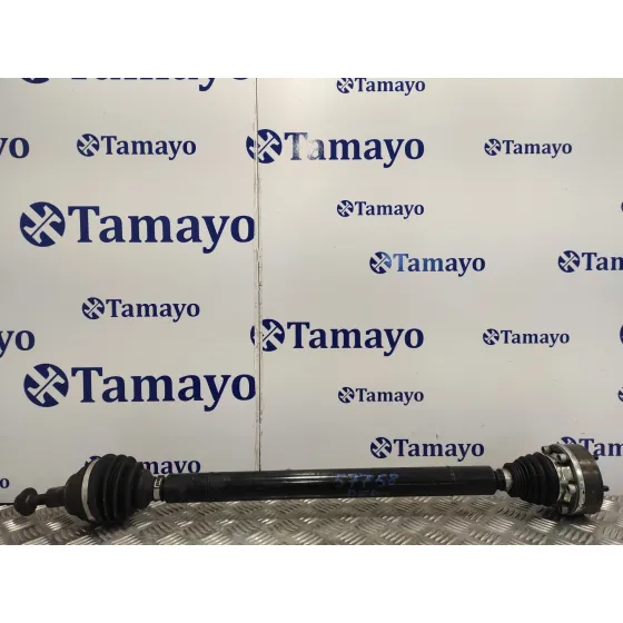 Transmision Delantera Derecha para Volkswagen Golf V Berlina (1K1)