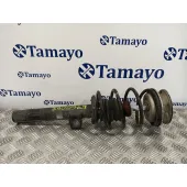 Amortiguador Delantero Izquierdo para Bmw Serie 3 Berlina (E90)