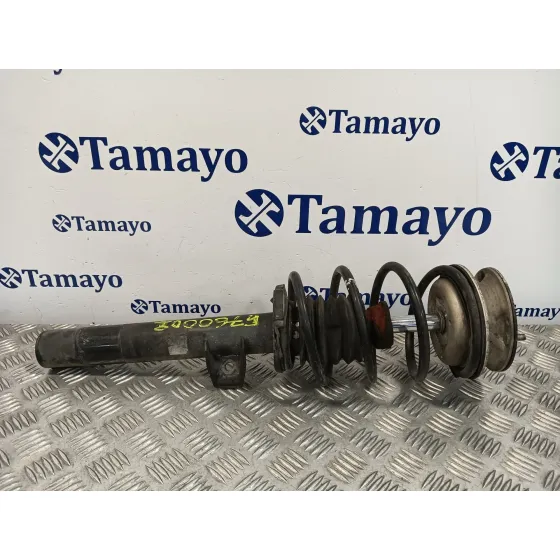 Amortiguador Delantero Izquierdo para Bmw Serie 3 Berlina (E90)