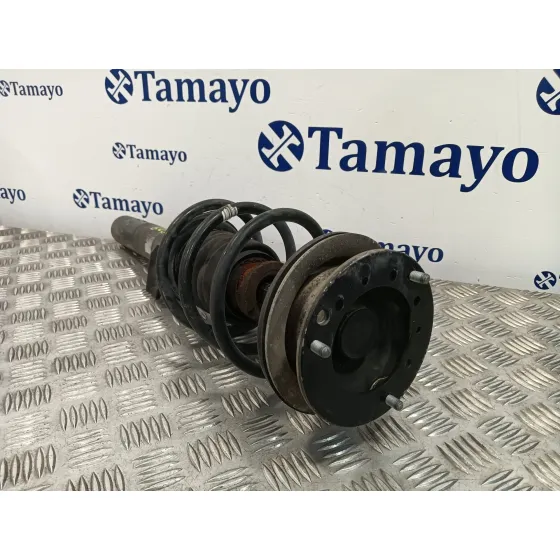 Amortiguador Delantero Izquierdo para Bmw Serie 3 Berlina (E90)