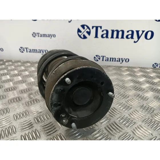 Amortiguador Delantero Izquierdo para Bmw Serie 3 Berlina (E90)