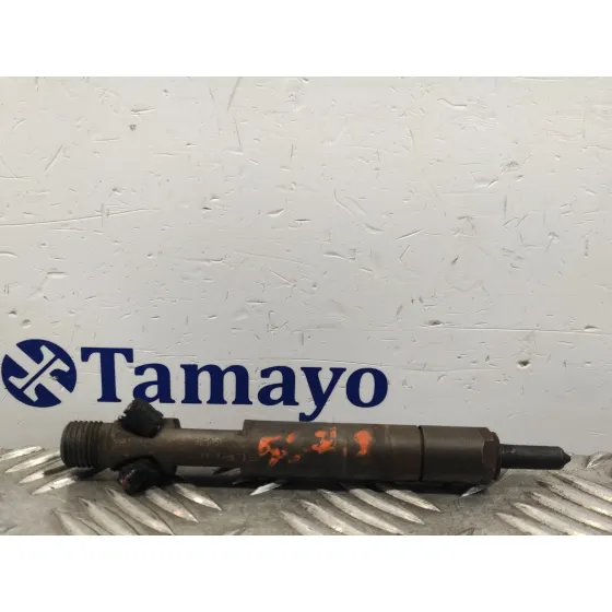 Inyector para Ford Focus Berlina (Cak)