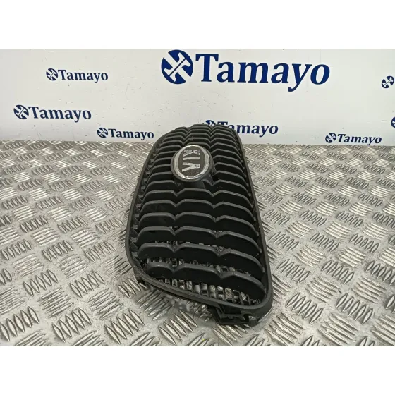Rejilla Delantera para Kia Picanto