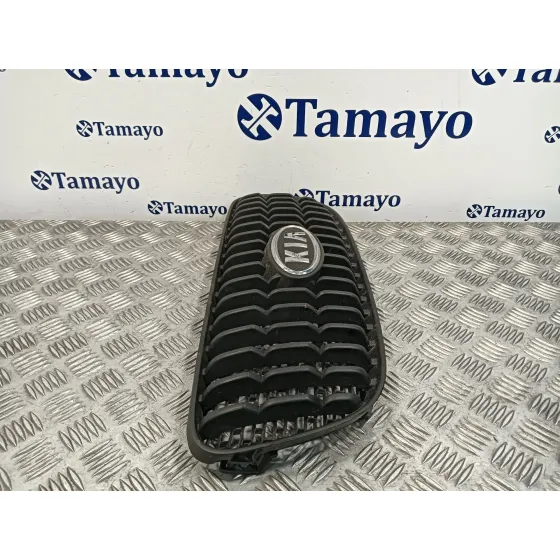 Rejilla Delantera para Kia Picanto