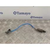 Sonda Lambda para Nissan Juke (F15)