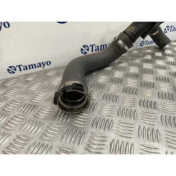 Tubo Presion Turbocompresor para Nissan Juke (F15)