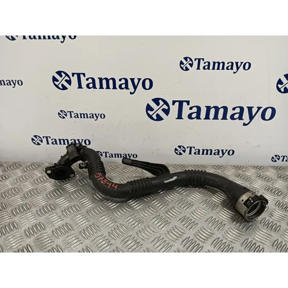 Tubo para Nissan Juke (F15)