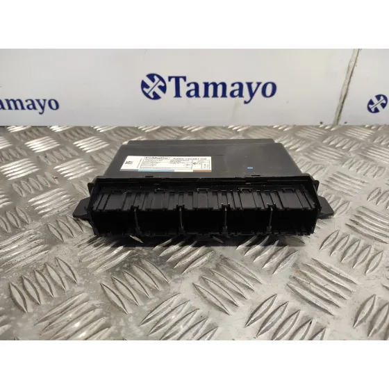 Modulo Electronico para Ford Kuga (Cbs)