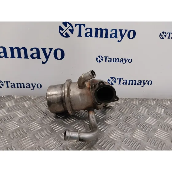 Enfriador Egr para Volkswagen Passat Variant (3G5)