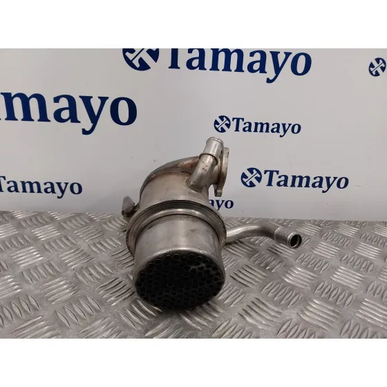 Enfriador Egr para Volkswagen Passat Variant (3G5)