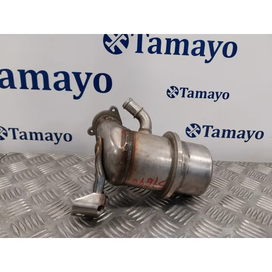 Enfriador Egr para Volkswagen Passat Variant (3G5)