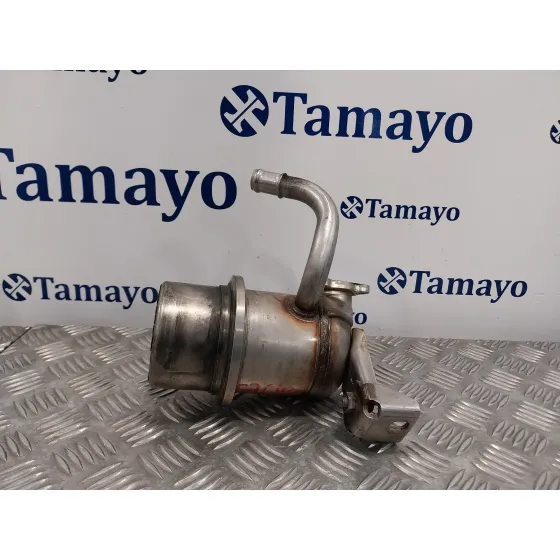 Enfriador Egr para Volkswagen Passat Variant (3G5)