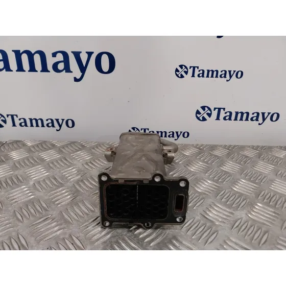 Enfriador Egr para Volkswagen Polo (6R1)