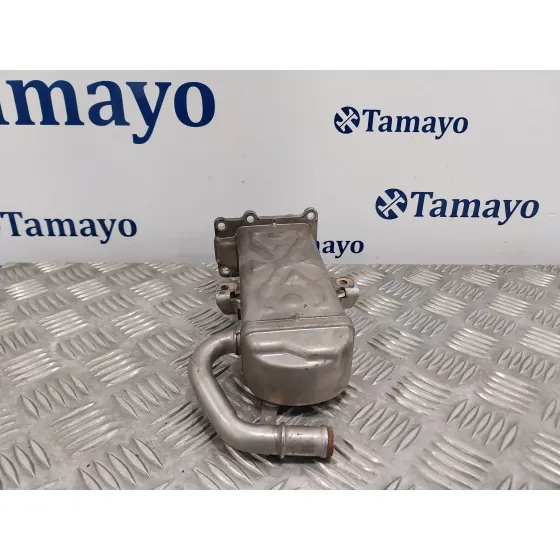 Enfriador Egr para Volkswagen Polo (6R1)