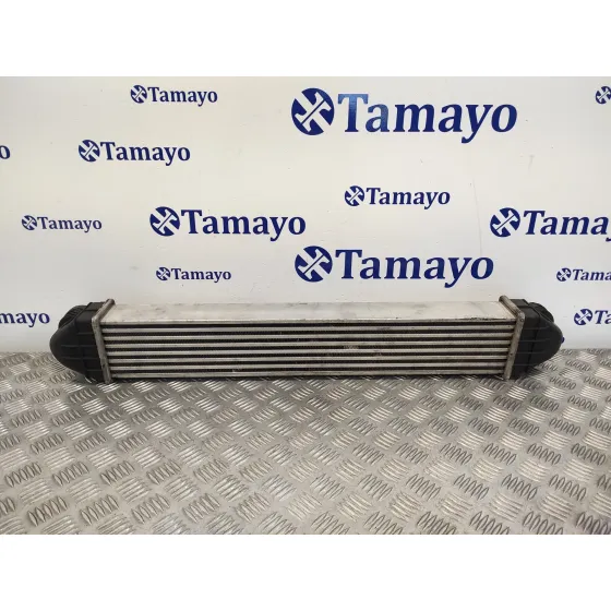 Intercooler para Mercedes-Benz Clase A (W169)