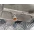 Caja Cambios para Skoda Fabia (5J2 )